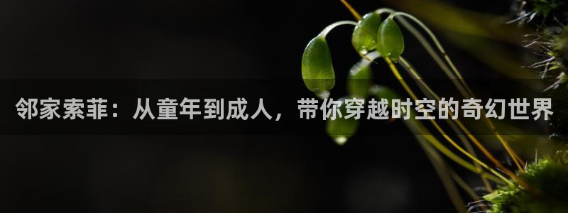 78动漫免费观看：邻家索菲：从童年到成人，带你穿越时空的奇幻世界