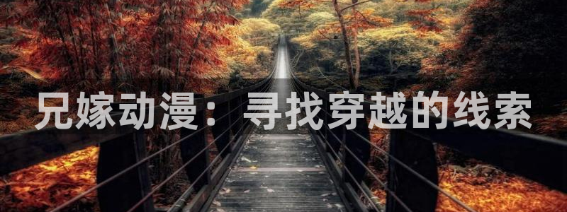 78动漫网下载：兄嫁动漫：寻找穿越的线索