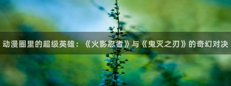 78动漫安卓：动漫圈里的超级英雄：《火影忍者》与《鬼灭之刃》的奇幻对决