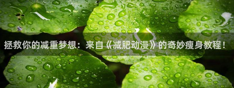 78动漫在线看：拯救你的减重梦想：来自《减肥动漫》的奇妙瘦身教程！