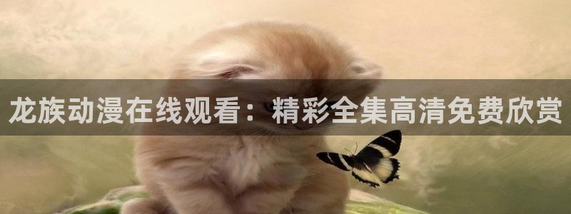 78动漫变形金刚：龙族动漫在线观看：精彩全集高清免费欣赏