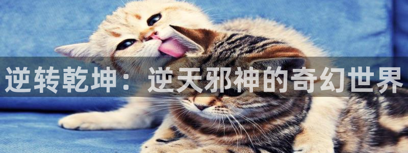 78动漫91：逆转乾坤：逆天邪神的奇幻世界